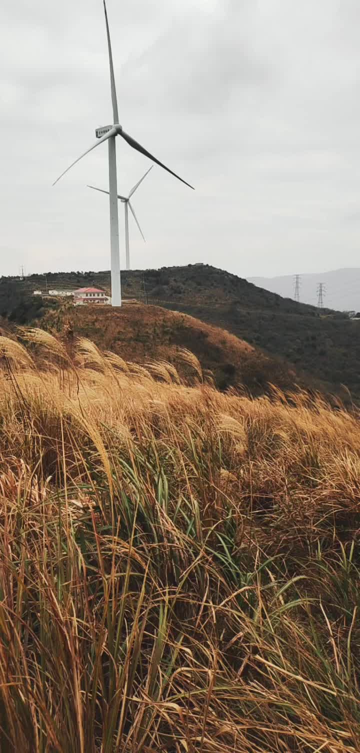 天公不作美～北仑福泉山行